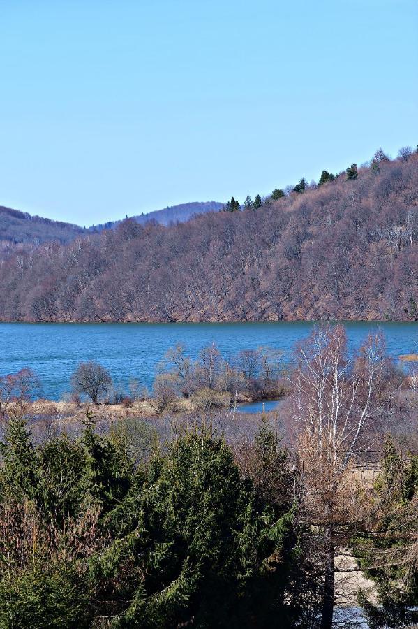 Drozdowka Nad Solina - Z Kominkiem Solina (Podkarpackie)